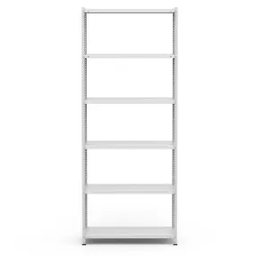 стеллаж стфу-п 1036-2.5 (2500х1000х300-6)