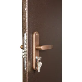 металлическая дверь профи pro bmd 2060/860