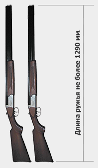 оружейный шкаф д4