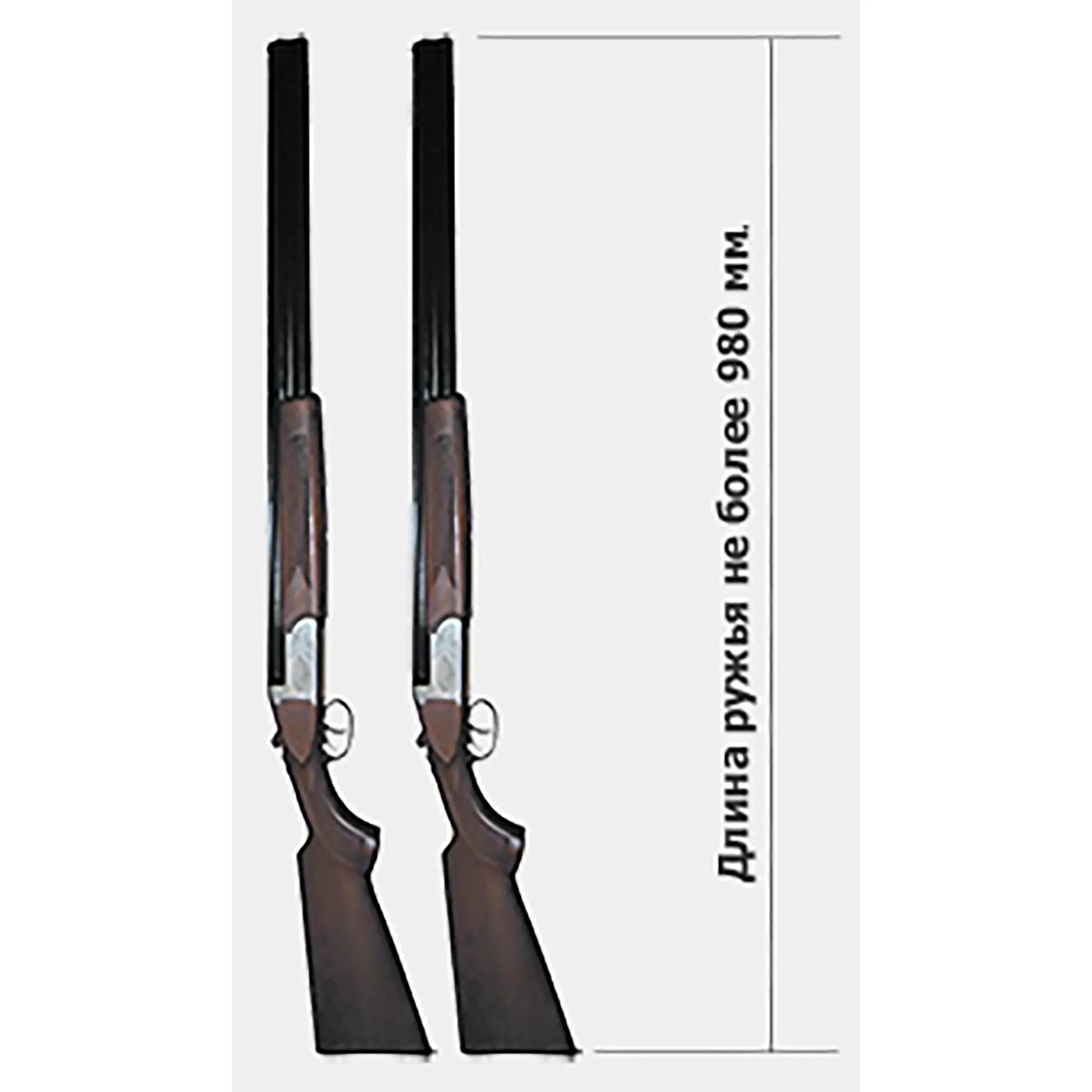 оружейный шкаф д5